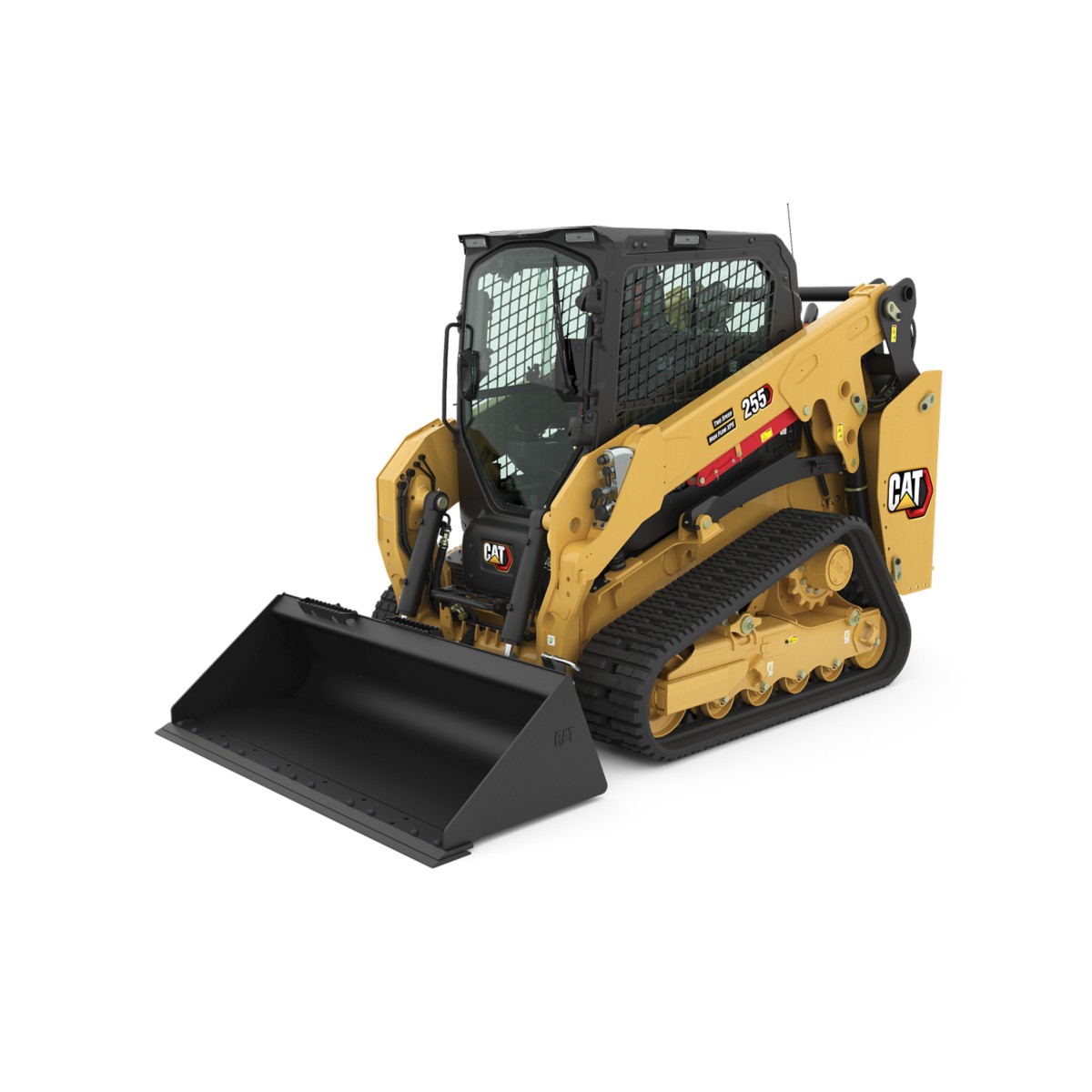 Cat 255